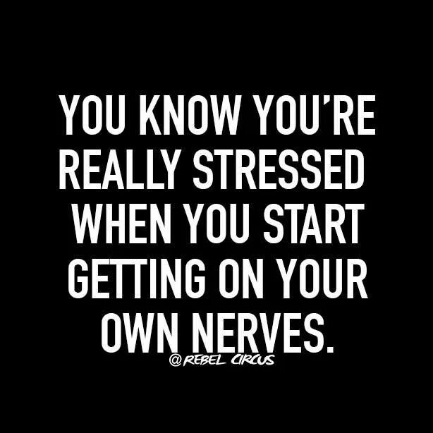 Really stressed. Stress quotes. Quotes about stress. Stress funny. When i was stressed.