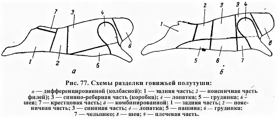 разделывать тушу во сне. кулинарный разруб свиной туши. говядина схема разруба говяжьей туши. разделывать тушу во сне. схема разруба тушки кролика.