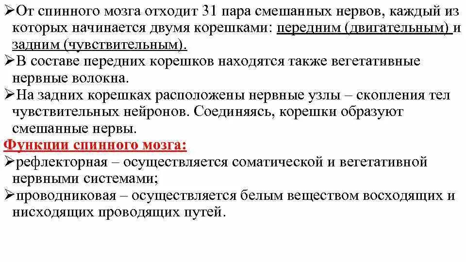 От спинного мозга отходит пара. От спинного мозга отходит пара смешанных нервов. функции смешанных нервов. смешанный нерв функции. смешанные нервы функции.
