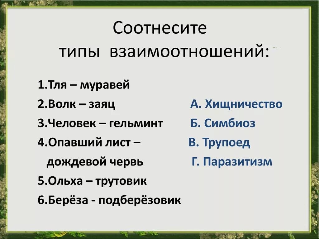 Соотнесите виды. Соотнесите Тип взаимоотношений. Волк и заяц Тип взаимоотношений. Тип биотических отношений волк заяц. Заяц и береза Тип взаимоотношений.