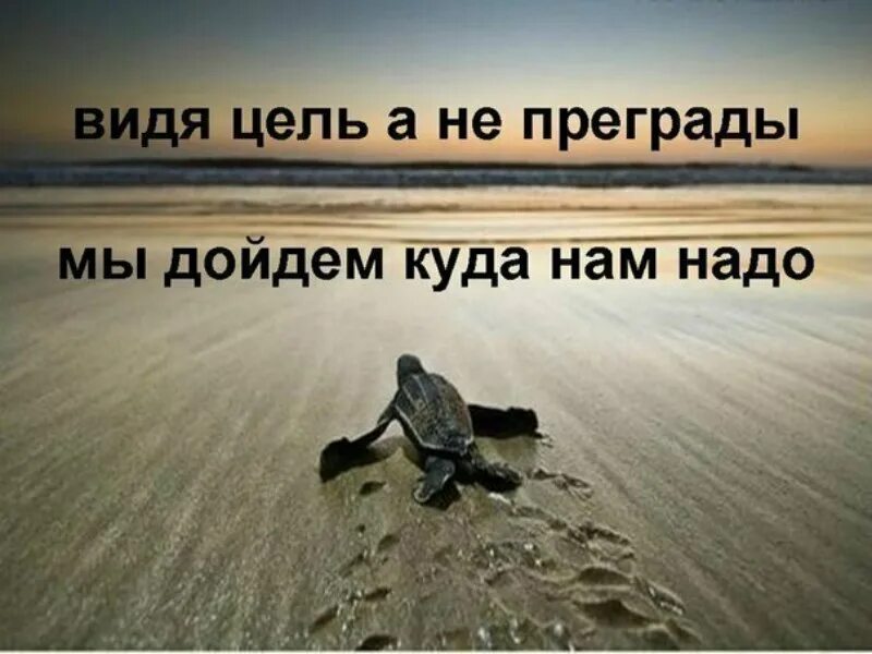 Куда необходимо идти. Фразы мотиваторы. мотивация на достижение цели. цель жизни приколы. идти к цели цитаты.