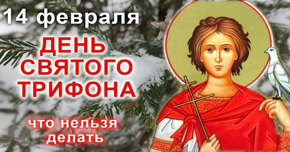 День Святого Трифона 14 покровителя охотников. 14 Февраля день Трифона покровителя охотников и рыболовов. День памяти Святого мученика Трифона 14 февраля. С праздником Святого мученика Трифона. 14 февраля святого трифона покровителя охотников