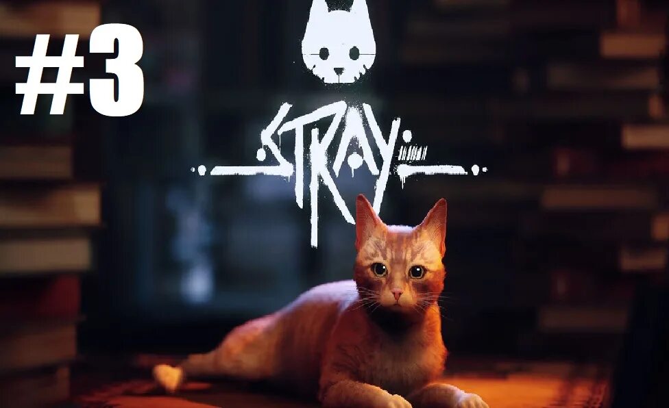 Stray ps4 купить. Stray котенок. СТРЕЙ на пс5 диск.