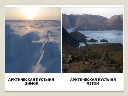 Арктические пустыни зимой и летом