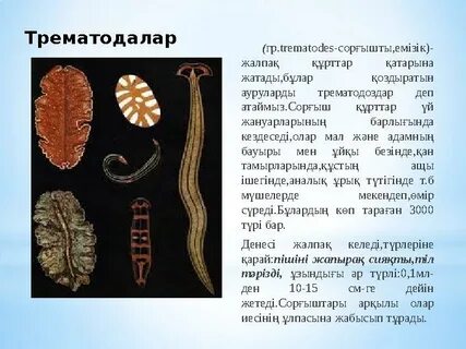 19 ғасырдағы порно иллюстрациялар