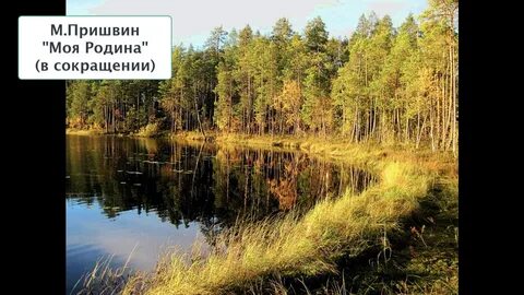 Пришвин в сокращении