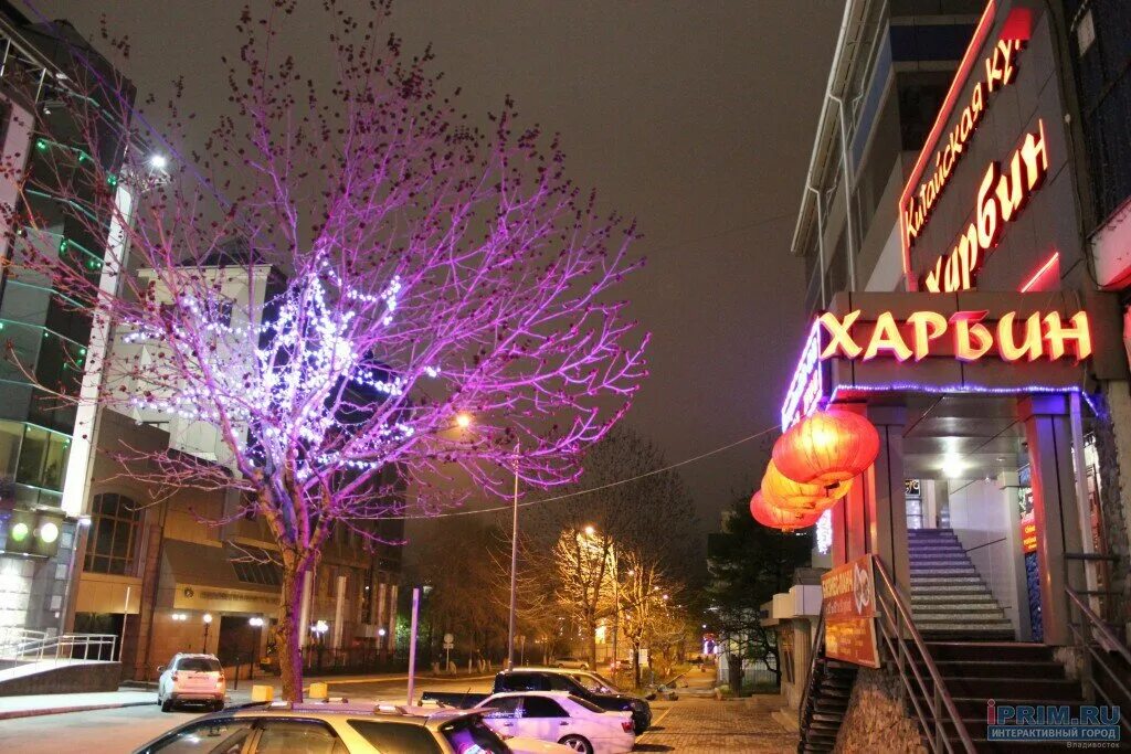 Кафе харбин дальнегорск. Харбин владивосток ресторан. Кафе харбин благовещенск. Кафе харбин владивосток. Харбин владивосток ресторан.