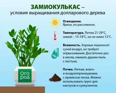 Сколько литров надо на растения