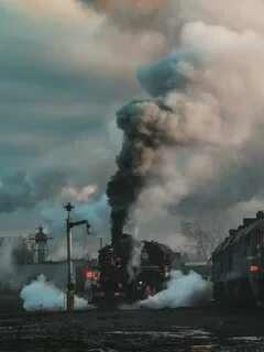 Москва сортавала