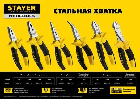 Stayer hercules