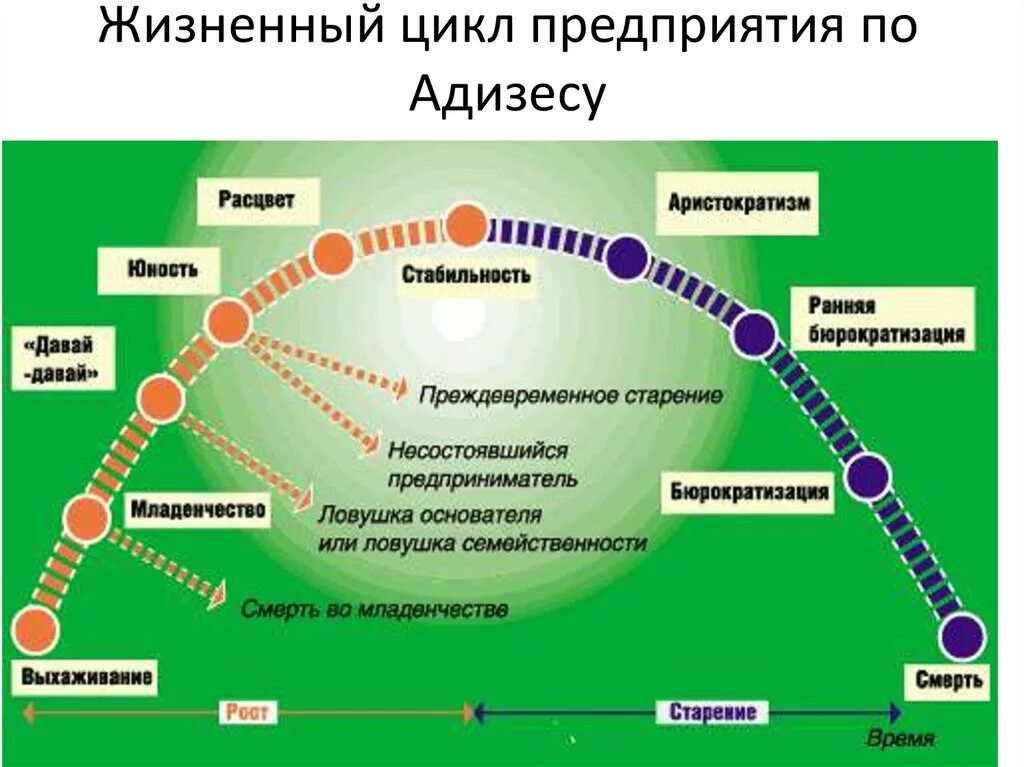 Фазы жизненного цикла компании. Ицхак адизес жизненный цикл компании. кривая жизненного цикла организации по адизесу. модель жцо адизеса.