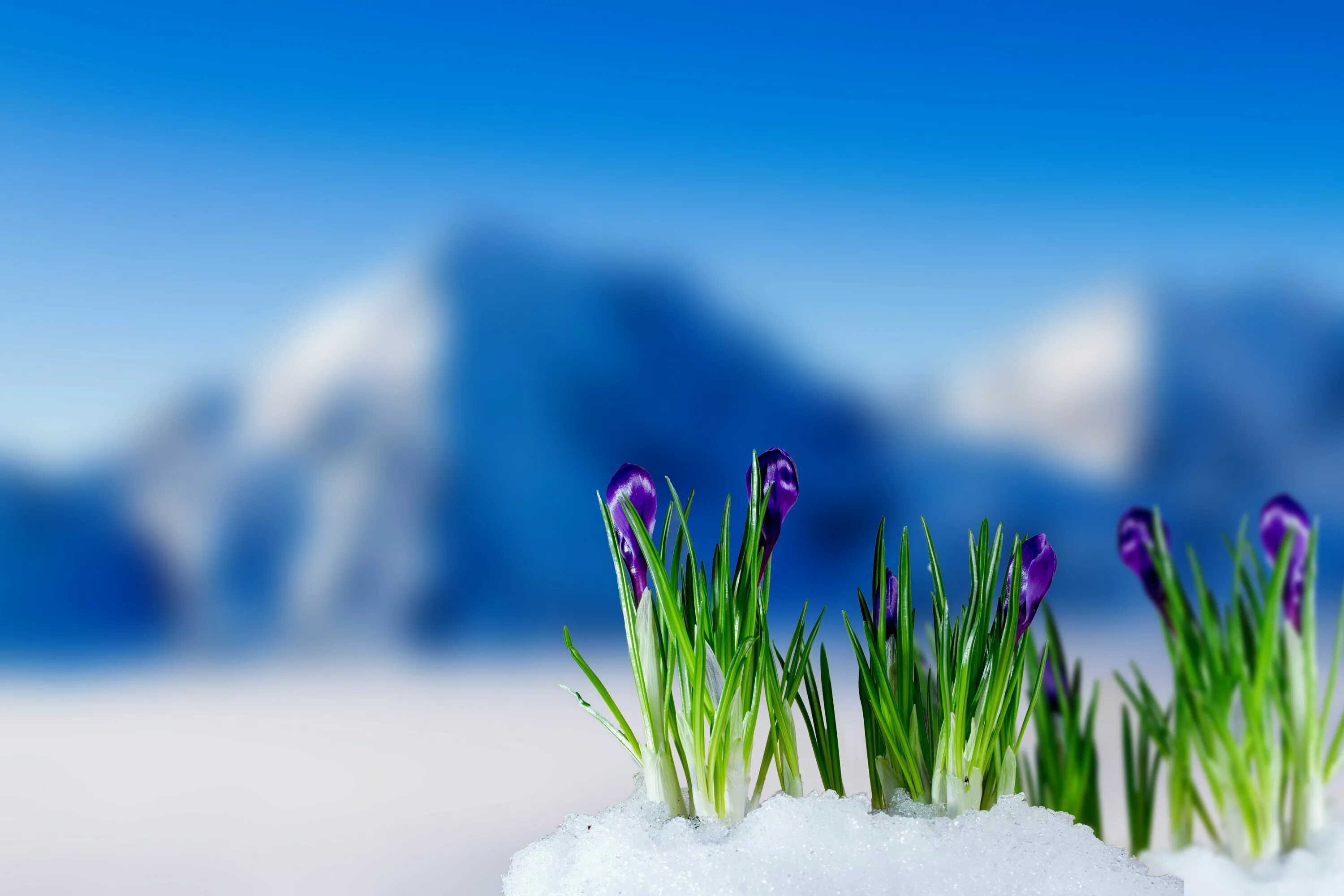 The beginning of spring march april is