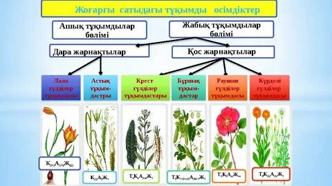 Лапал автобустағы онлайн смотреть