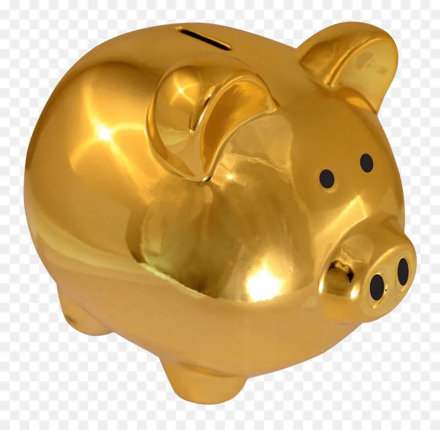 Копилка piggy bank. Свинья-копилка. Копилка Свинка. Золотая свинья копилка. Золотая копилка.