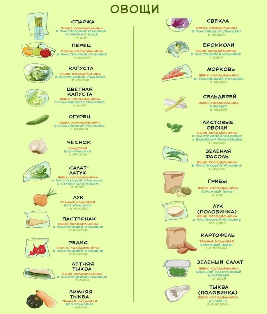Сколько хранятся вареные овощи. Сколько хранятся овощи в холодильнике. Правильное хранение овощей таблица. Таблица как хранить овощи и фрукты. Можно хранить овощи в холодильнике