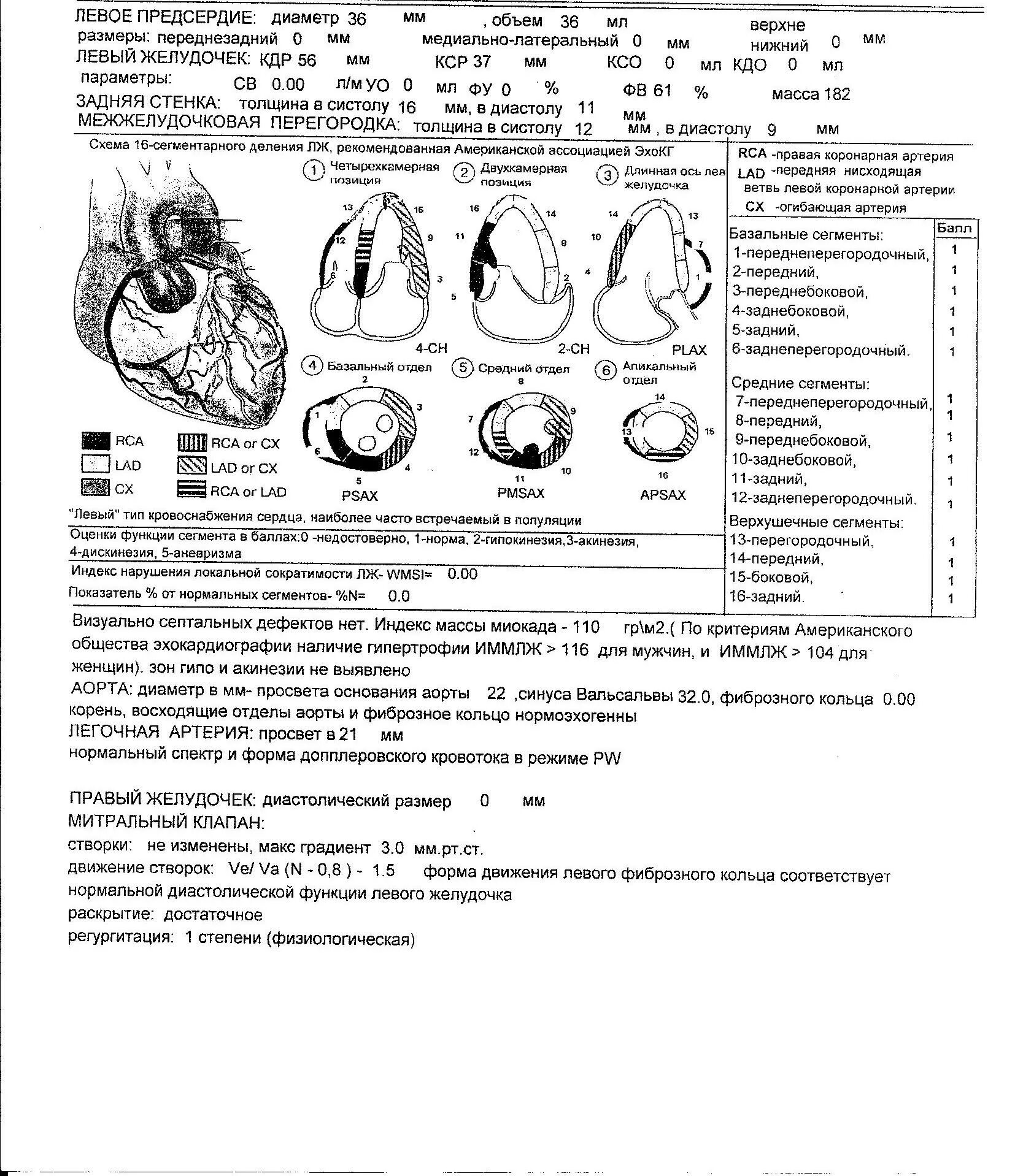 Глобальная сократимость левого желудочка. Эхо-кг сегменты левого желудочка. Объем левого предсердия в норме ЭХОКГ. Сегменты левого желудочка по эхокардиографии. Зоны гипокинезии на ЭХОКГ.