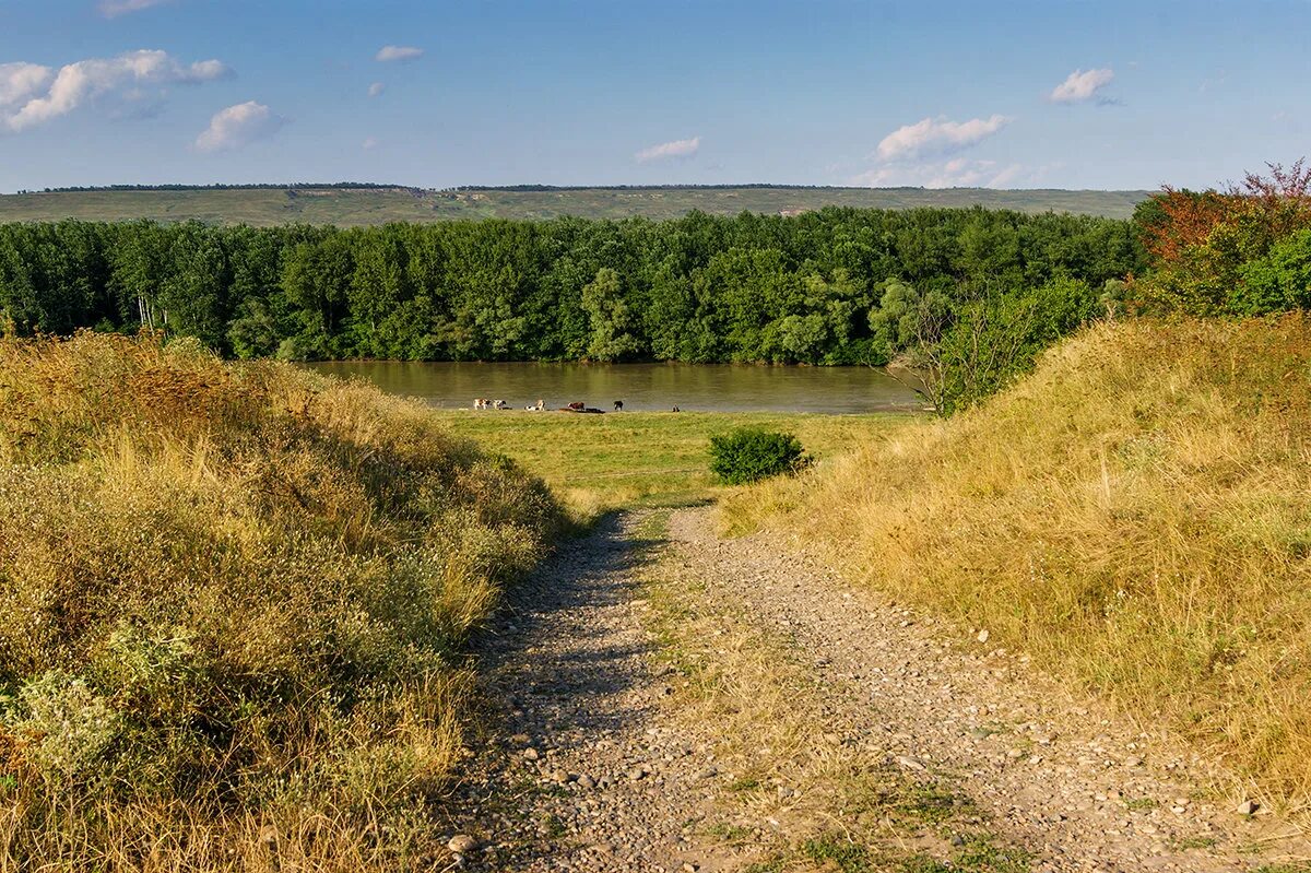 Хутор успенский краснодарский край. Кубань Успенский район. Река Кубань Успенского района. Село Вольное Краснодарский край Успенский район. Село Успенское Успенского района Краснодарского края.