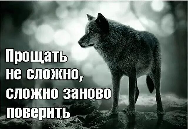 Прощать не сложно сложно заново поверить. Прощатьтне сложно, сложно заново поверить. Прощать не сложно. Простить не сложно сложно заново.