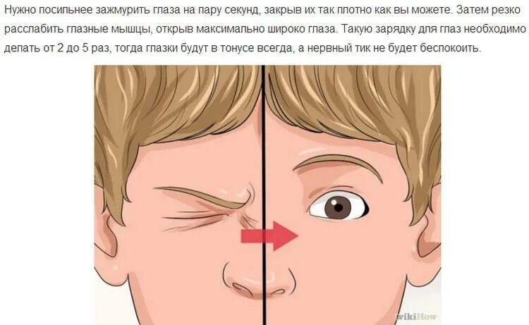 Дергается левый глаз. Дергается глаз что делать. Круговая мышца глаза части. Почему дёргается глаз левый. Почему дергается левый глаз причины у женщин.