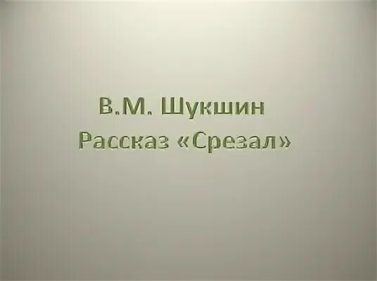 Краткое содержание срезал шукшин 6 класс. Срезал план рассказа. Картинка к рассказу срезал. Прослушать произведение срезал.