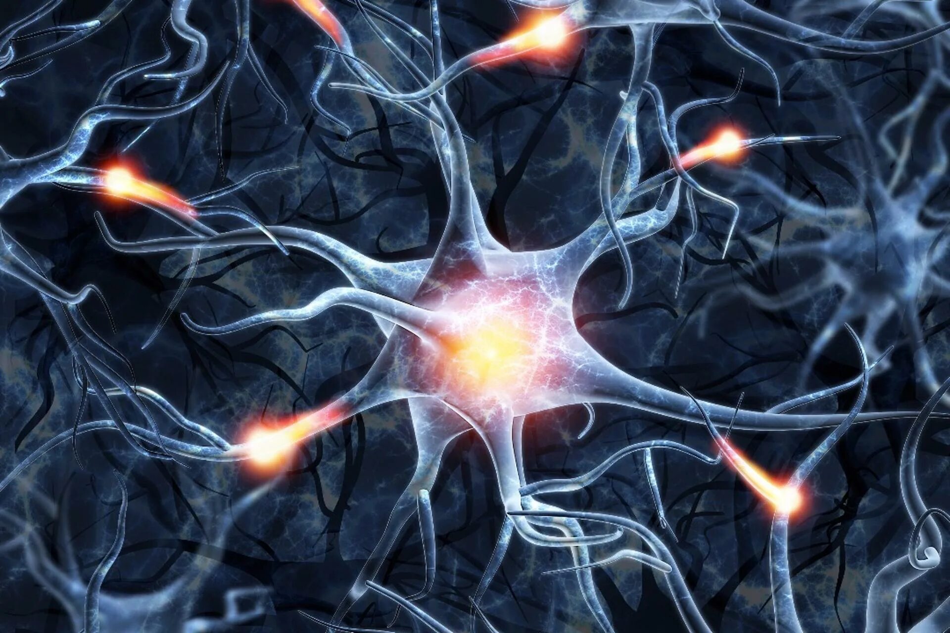 Клетки мозга человека состоят из. Нейроны. Нейронные связи. Клетки мозга.