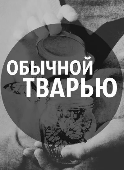 Называл меня тварью. Солнышко зая. Есть люди твари цитата. Зая парень. Я тварь.