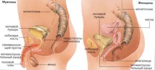 Жжение Во Время Секса