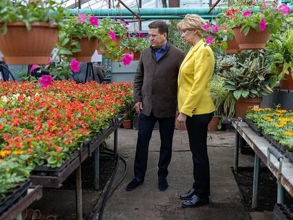 Посадки казань