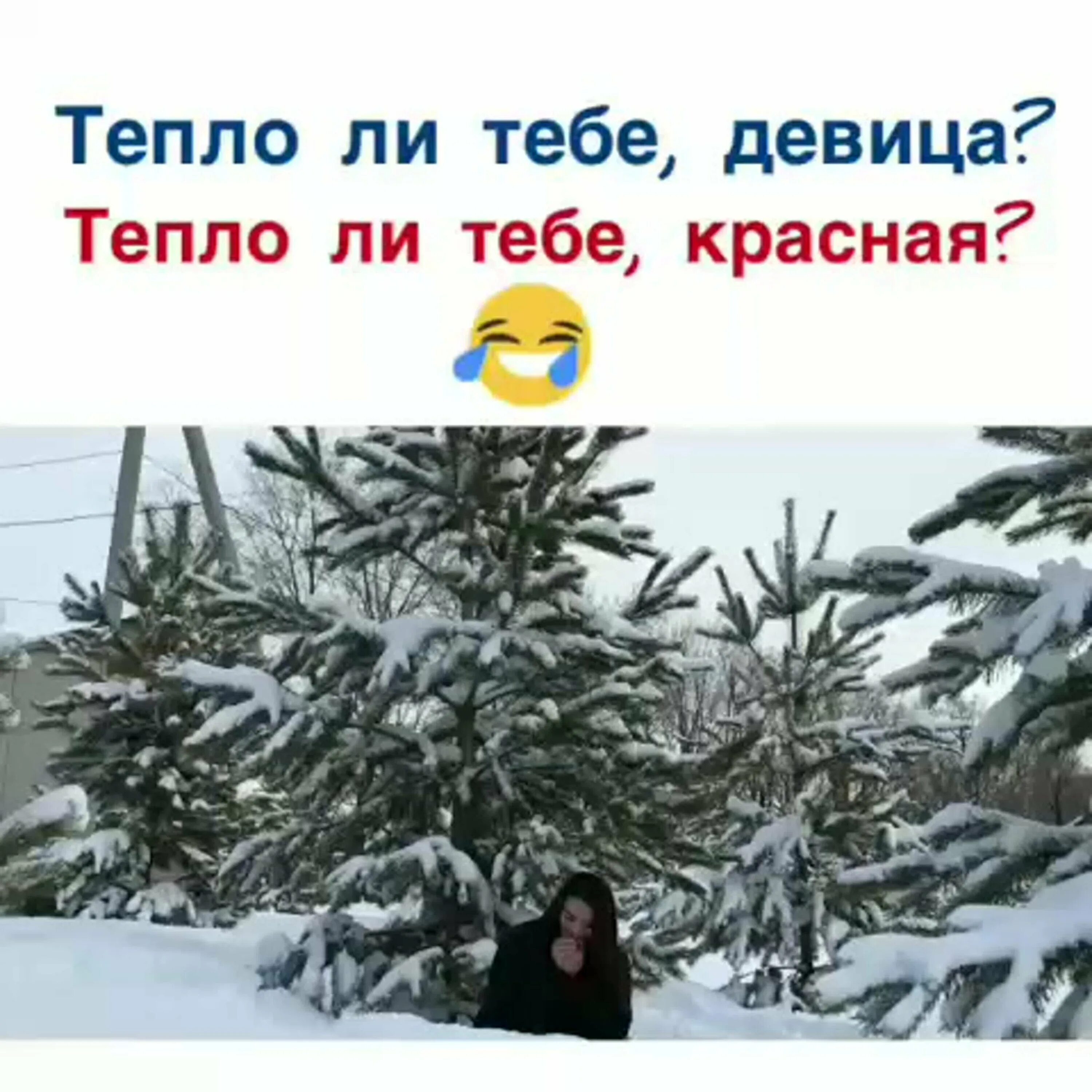 Тепло ли холодно. Тепло ли тебе девица тепло ли тебе красная. Тепло ли тебе. Тепло ль тебе девица прикол. Тепло ли тебе девица тепло ли тебе красная ответ.