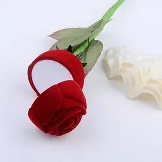 Long rose
