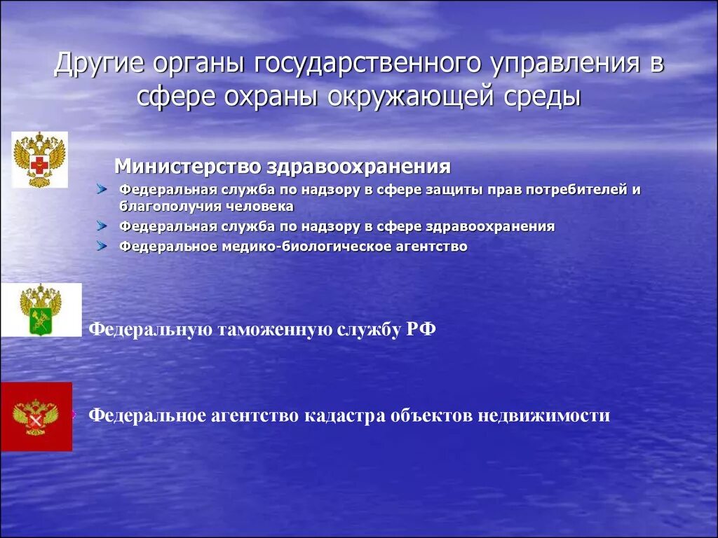 Охрана окружающей среды органы местного самоуправления. Органы охраны окружающей среды в РФ. Государственное управление охраной окружающей среды. Органы управления в области охраны окружающей среды. Государственные органы охраны природной среды.