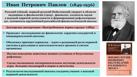 Медицинская физиология