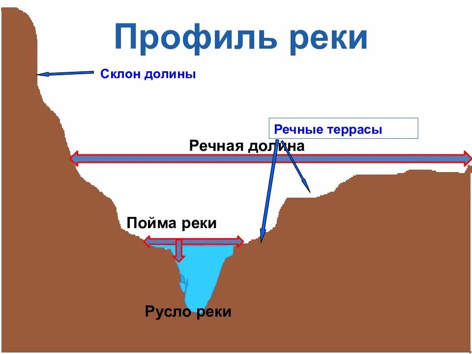 Ширина русла рек. Русло Пойма Речная Долина. Русло Долина терраса Пойма. Русло Пойма терраса реки. Русло реки Пойма Речная Долина.