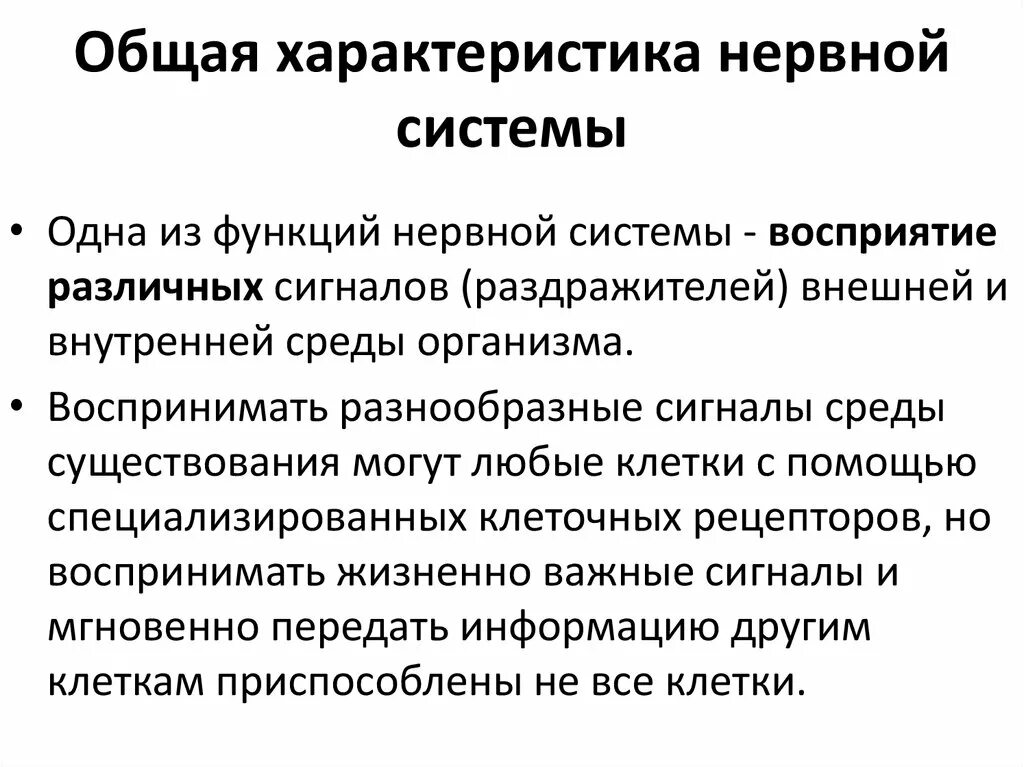 Общая характеристика и функции нервной системы. Ее отделы. Основные отделы центральной нервной системы общая характеристика. Характеристика функций нервной системы. Общая характеристика нервной системы кратко.