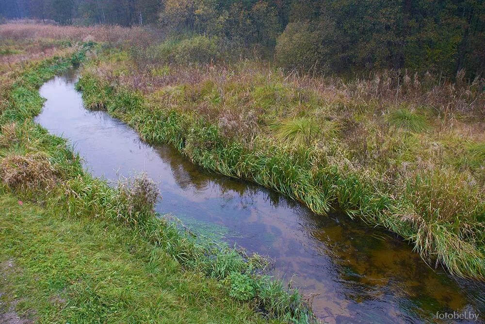 левый приток реки щара 4 буквы. схема реки части реки. река ведьма курская область. щара неман. щара фамилия.