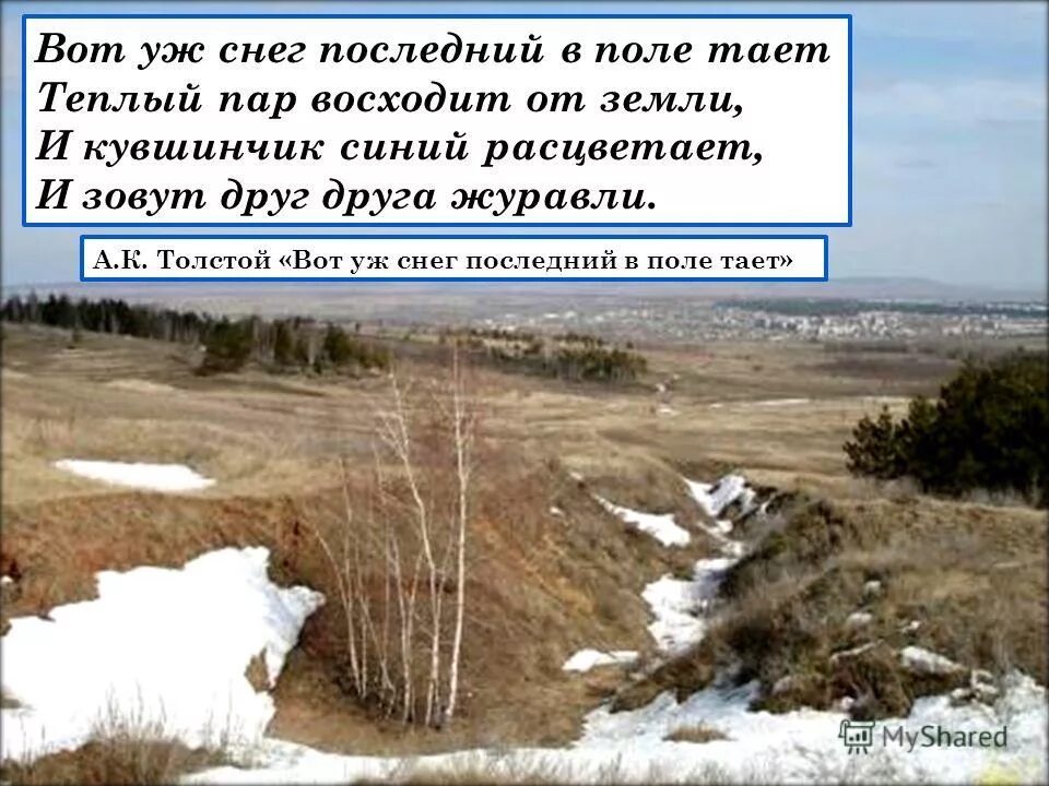 Теплый пар восходит от земли