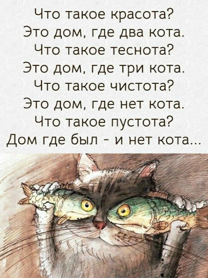 Фразы о котах. Афоризмы с котиками. Цитаты о котах со смыслом. Цитаты про котов. Кошки афоризмы