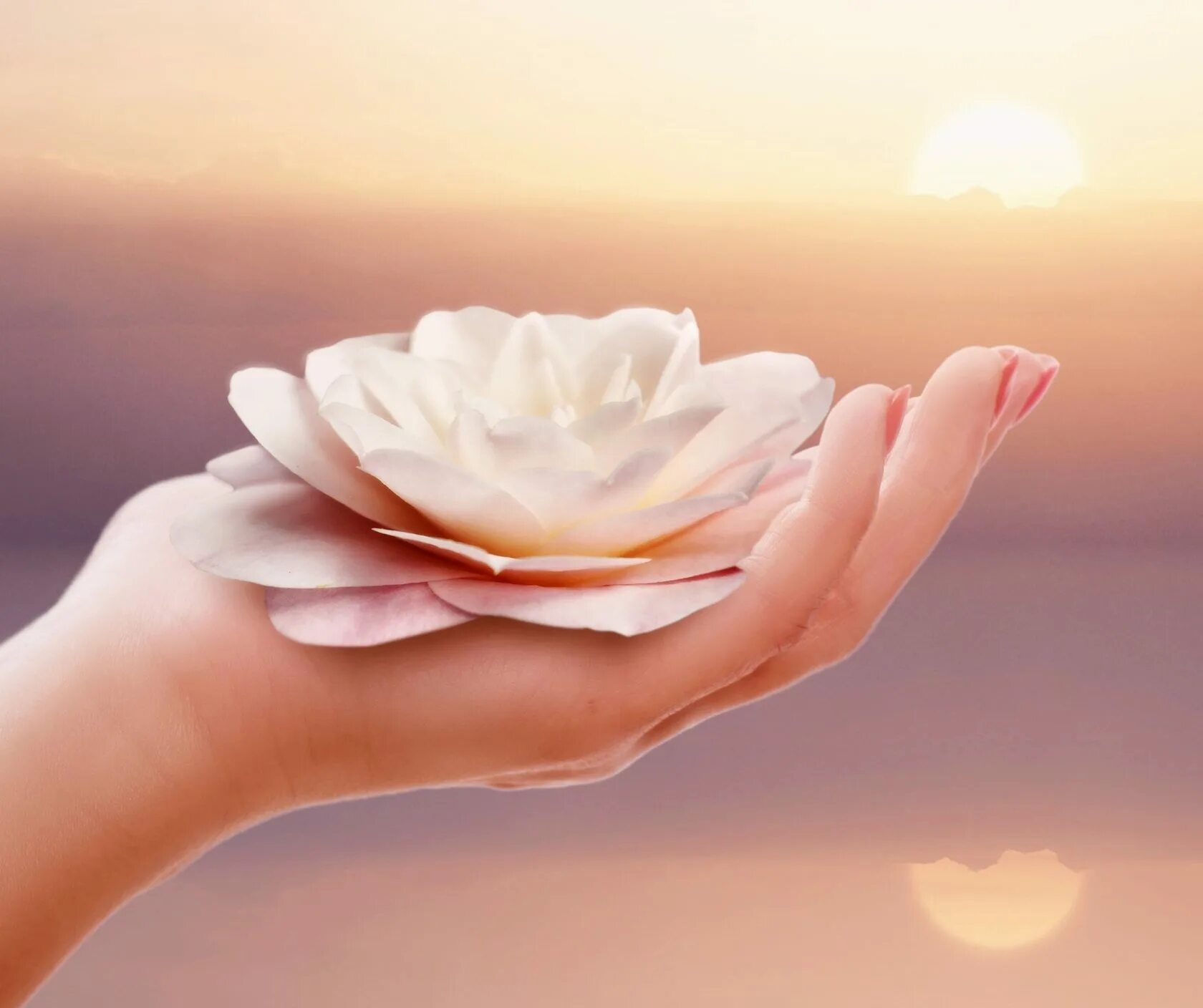 шкаф купе с фотопечатью. мечта 13. воплощение мечты. тини хаус микро дом. 3.