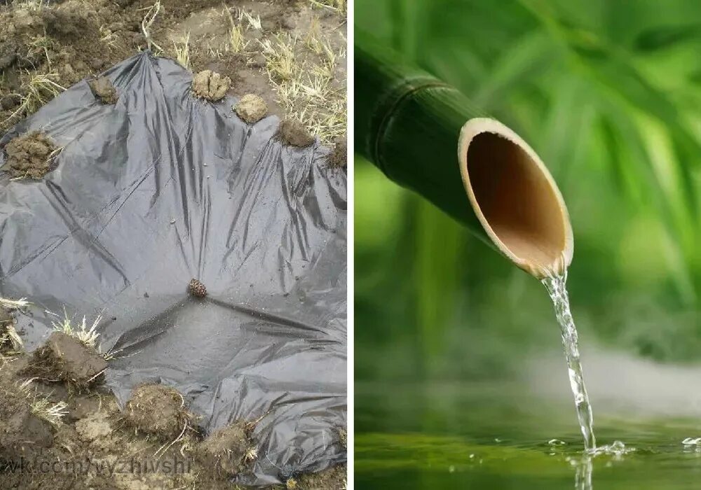 Добыча жидкости. Добыча воды. Добыча воды в природе. Добыча воды в экстремальных условиях. Способы добывания воды.