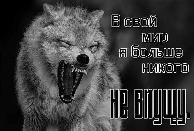 Да пошло все к чертям песня. Пошло всё к черту. Да пошли все к черту. Пошли все к черту картинки. Да пошло оно все к черту статусы.