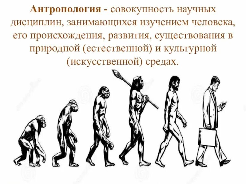 Антропология организаций. Антропология. антропология это наука. антропология человека. антропологическая дисциплина.