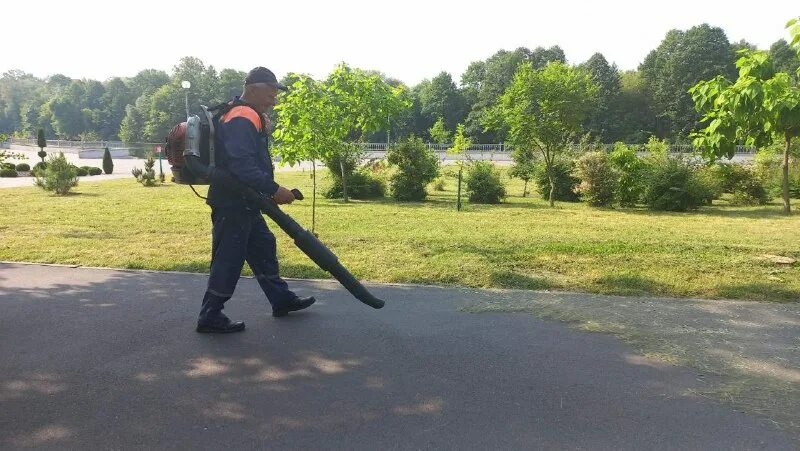 виртуальный брест блоггер