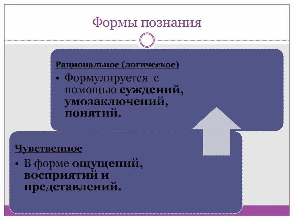 Ощущение представление практика суждение