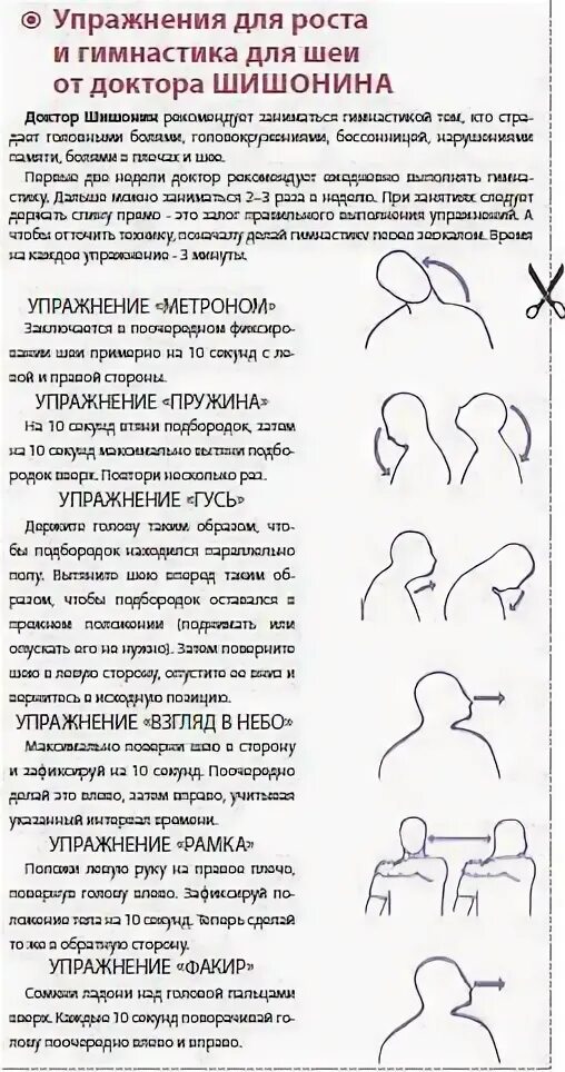 Гимнастика шишонина при грыжах поясничного отдела позвоночника. Гимнастика для шейного отдела позвоночника доктора Шишонина. Шишонина комплекс гимнастики для шеи. Шишонин ЛФК для шеи. Комплекс упражнений для шеи доктора Шишонина.