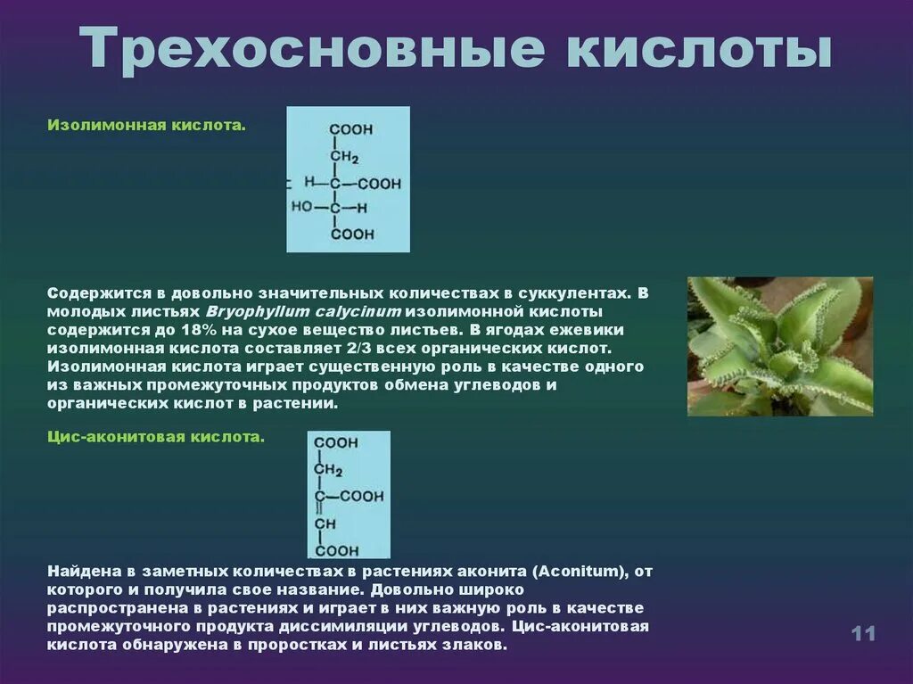 Кислотно содержащие кислоты. Трехосновные карбоновые кислоты. Трехосновные органические кислоты. Трехосновная карбоновая кислота. Трехосновные ароматические кислоты.