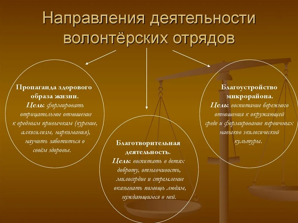 Направление деятельности волонтерских организаций. Направления работы волонтеров. Направления деятельности волонтерского отряда. Направления волонтерской деятельности в школе. Основные направления Добровольческой деятельности.