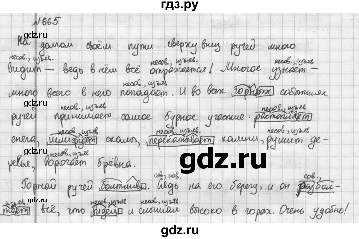 Русский язык 5 класс Разумовская упражнение 665. Домашнее задание по русскому языку Разумовская. Русский язык упражнение 665. Русский 5 класс 665 упражнение. Русский язык пятый класс упражнение 665