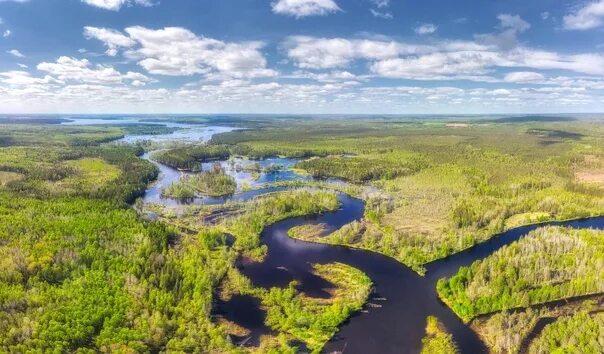 Белая холуница вк. Река белая Холуница. Река белая Холуница Кировская область. Речки белой Холуницы. Река Бучила белая Холуница.