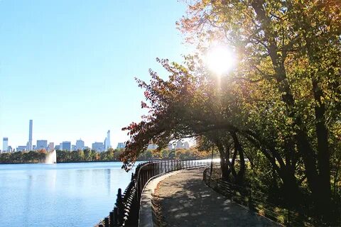 Full park