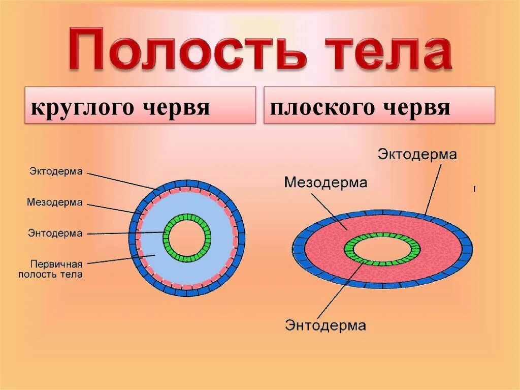 В отличии от круглых